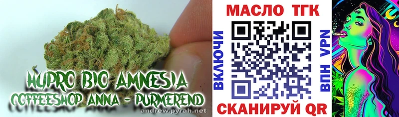 ТГК Wax  Ярославль 