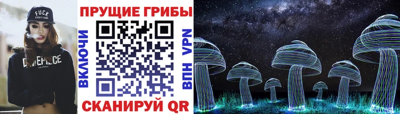 Псилоцибиновые грибы мицелий Ярославль