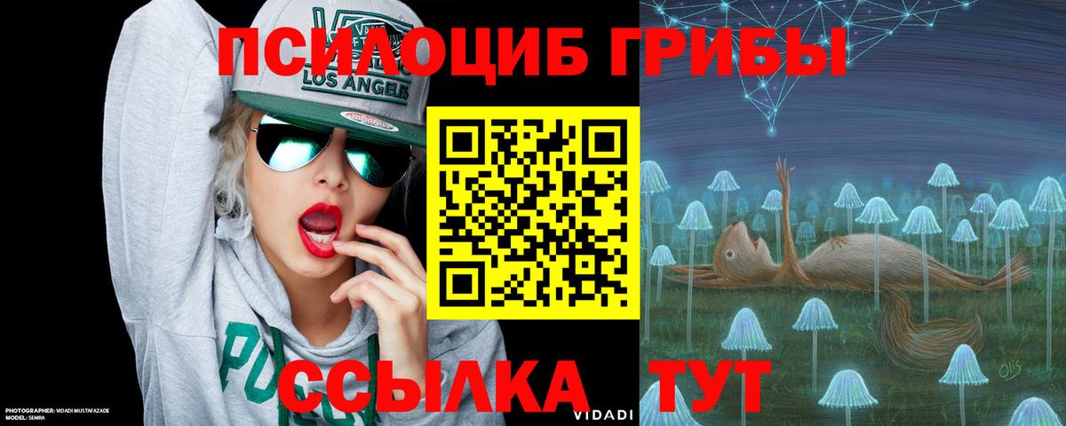 Ярославль  Галлюциногенные грибы MAGIC MUSHROOMS  Вход с VPN 
