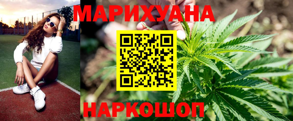Конопля марихуана  Каннабис сатива  Вход с VPN  Ярославль 